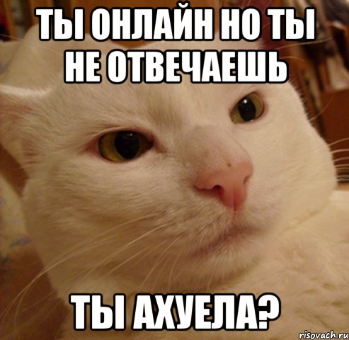 ты онлайн но ты не отвечаешь ты ахуела?