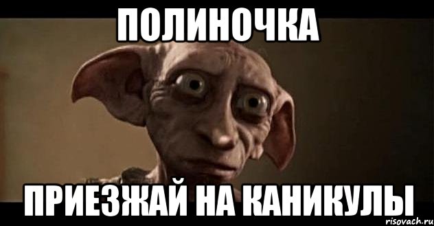полиночка приезжай на каникулы