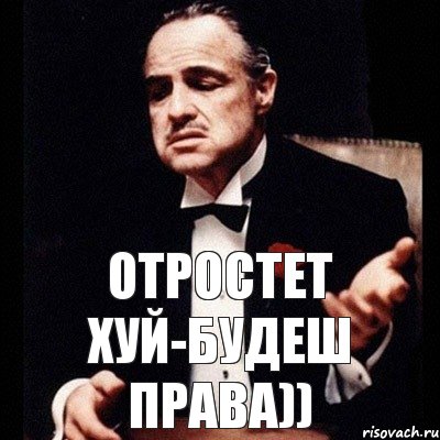 Отростет хуй-будеш права)), Комикс Дон Вито Корлеоне 1