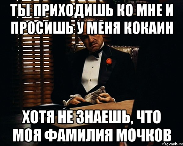 ты приходишь ко мне и просишь у меня кокаин хотя не знаешь, что моя фамилия мочков, Мем Дон Вито Корлеоне