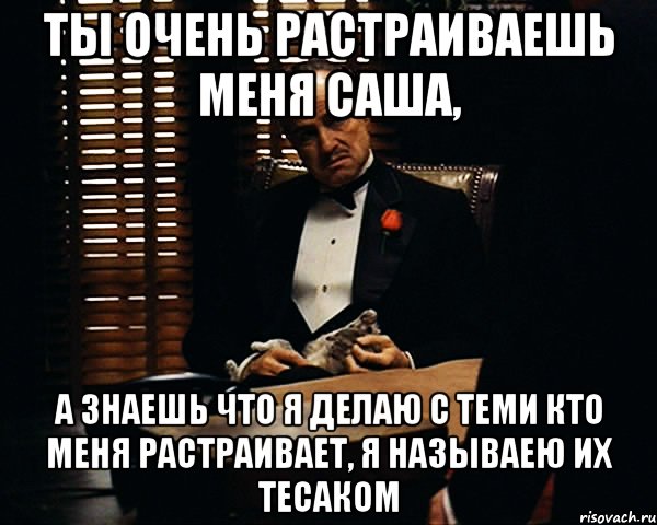 ты очень растраиваешь меня саша, а знаешь что я делаю с теми кто меня растраивает, я называею их тесаком, Мем Дон Вито Корлеоне