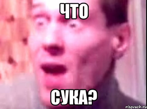 что сука?, Мем Дверь мне запили