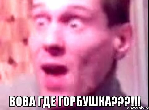  вова где горбушка???!!!, Мем Дверь мне запили