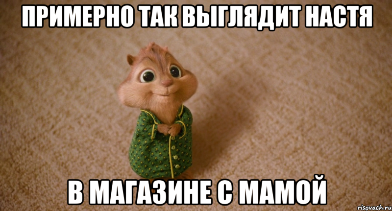 примерно так выглядит настя в магазине с мамой, Мем Элвин и бурундуки