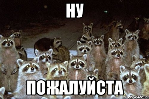 ну пожалуйста, Мем Еноты они повсюду