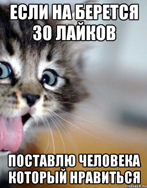 если на берется 30 лайков поставлю человека который нравиться