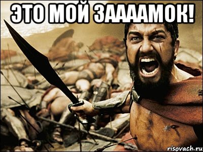 это мой заааамок! , Мем Это Спарта