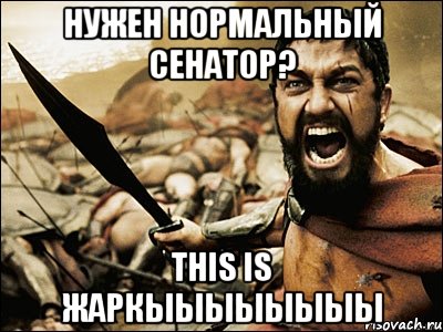 нужен нормальный сенатор? this is жаркыыыыыыыы, Мем Это Спарта