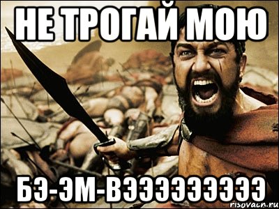 не трогай мою бэ-эм-вэээээээээ, Мем Это Спарта