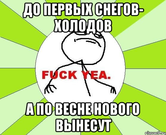 до первых снегов- холодов а по весне нового вынесут, Мем фак е