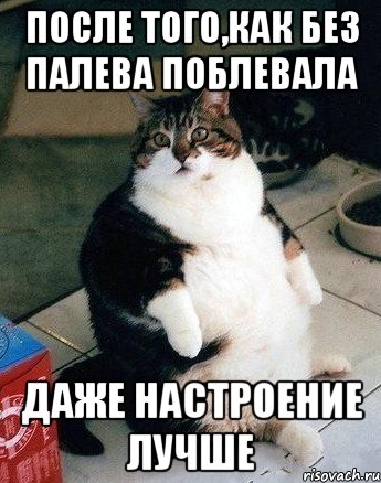 после того,как без палева поблевала даже настроение лучше