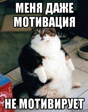 меня даже мотивация не мотивирует
