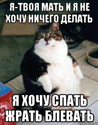 я-твоя мать и я не хочу ничего делать я хочу спать жрать блевать