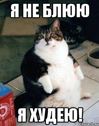 я не блюю я худею!