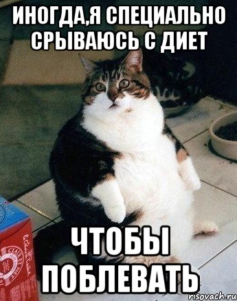 иногда,я специально срываюсь с диет чтобы поблевать