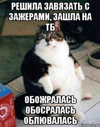 решила завязать с зажерами, зашла на тб обожралась обосралась облювалась