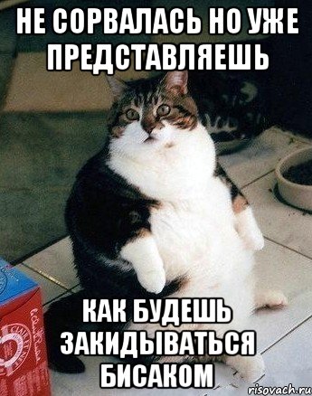 не сорвалась но уже представляешь как будешь закидываться бисаком