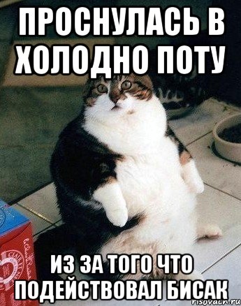 проснулась в холодно поту из за того что подействовал бисак