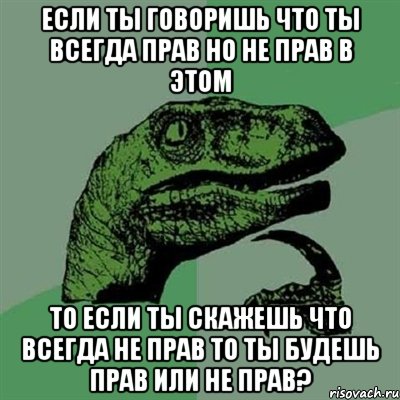 если ты говоришь что ты всегда прав но не прав в этом то если ты скажешь что всегда не прав то ты будешь прав или не прав?, Мем Филосораптор