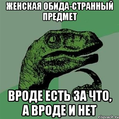 женская обида-странный предмет вроде есть за что, а вроде и нет, Мем Филосораптор