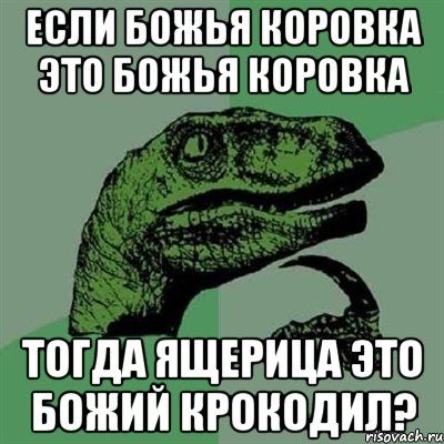 если божья коровка это божья коровка тогда ящерица это божий крокодил?, Мем Филосораптор