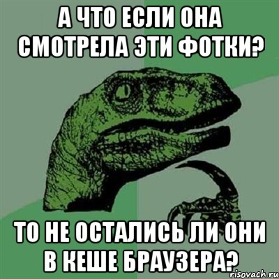 а что если она смотрела эти фотки? то не остались ли они в кеше браузера?, Мем Филосораптор