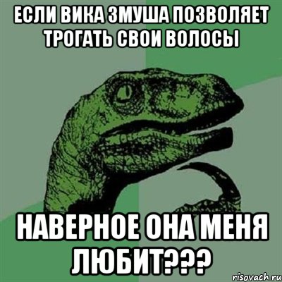 если вика змуша позволяет трогать свои волосы наверное она меня любит???, Мем Филосораптор