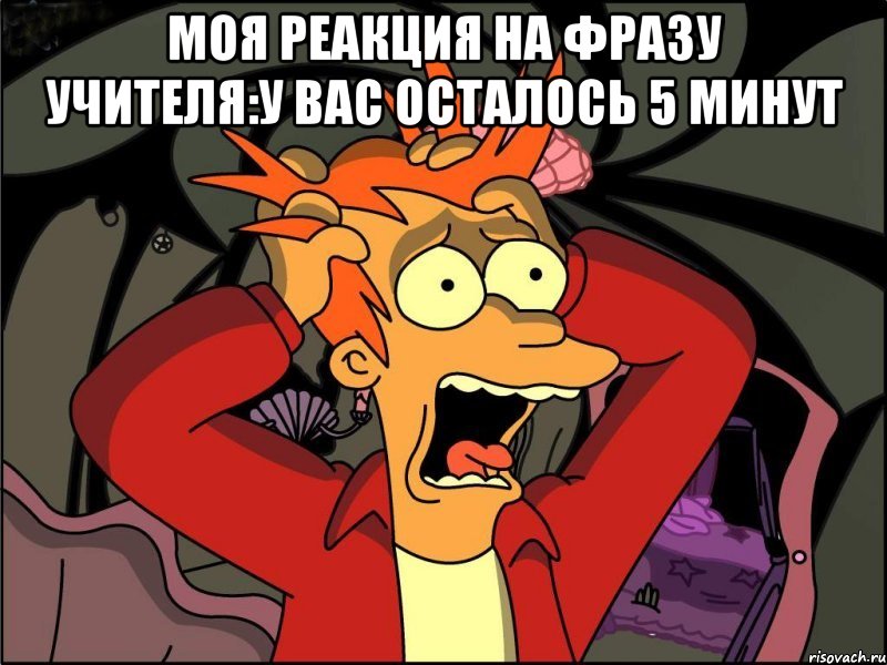 моя реакция на фразу учителя:у вас осталось 5 минут , Мем Фрай в панике