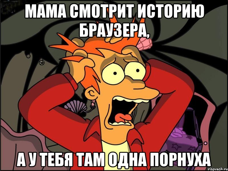 мама смотрит историю браузера, а у тебя там одна порнуха, Мем Фрай в панике