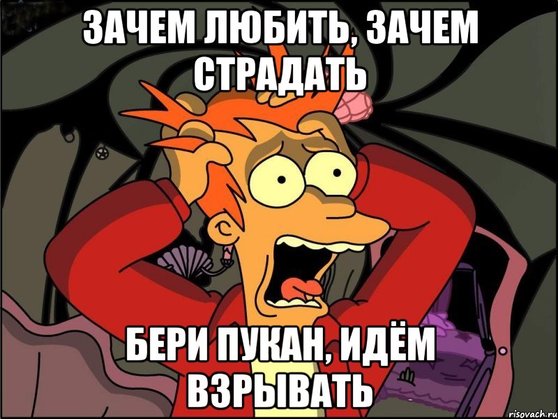 зачем любить, зачем страдать бери пукан, идём взрывать, Мем Фрай в панике