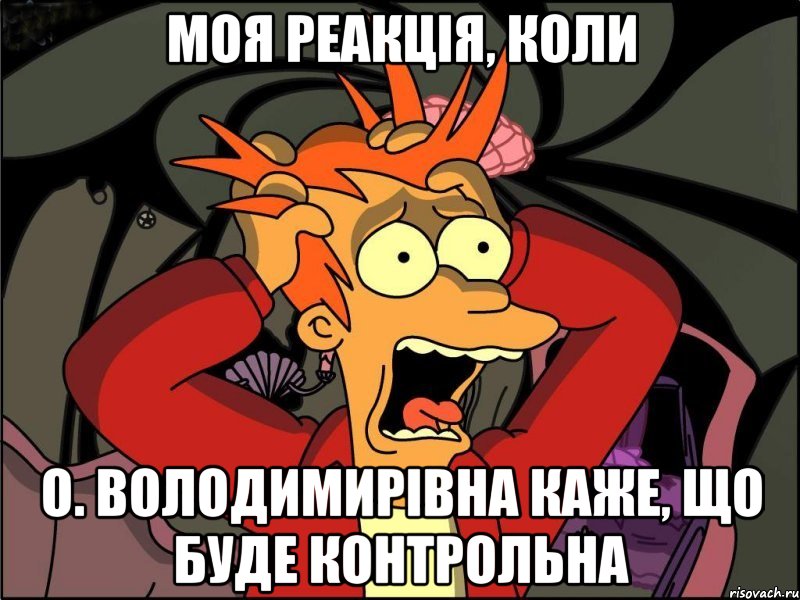 моя реакція, коли о. володимирівна каже, що буде контрольна, Мем Фрай в панике