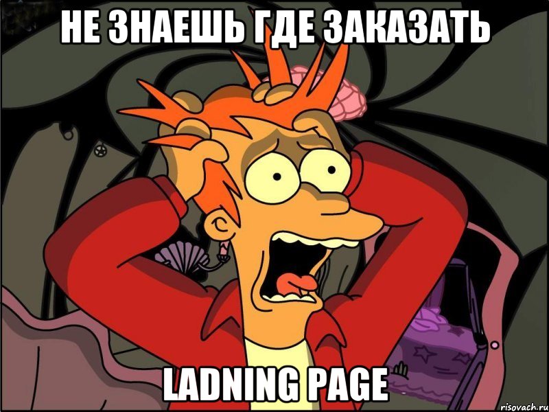 не знаешь где заказать ladning page, Мем Фрай в панике