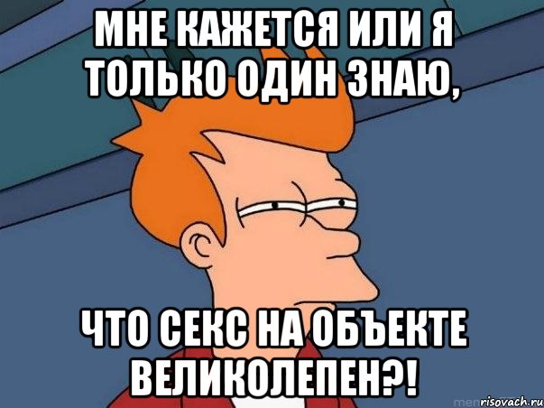 мне кажется или я только один знаю, что секс на объекте великолепен?!, Мем  Фрай (мне кажется или)