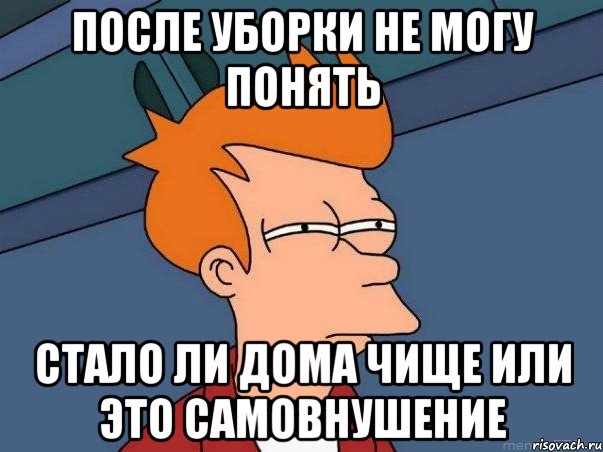 после уборки не могу понять стало ли дома чище или это самовнушение, Мем  Фрай (мне кажется или)