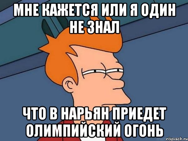 мне кажется или я один не знал что в нарьян приедет олимпийский огонь, Мем  Фрай (мне кажется или)