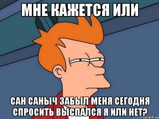 мне кажется или сан саныч забыл меня сегодня спросить выспался я или нет?, Мем  Фрай (мне кажется или)