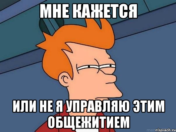 мне кажется или не я управляю этим общежитием, Мем  Фрай (мне кажется или)