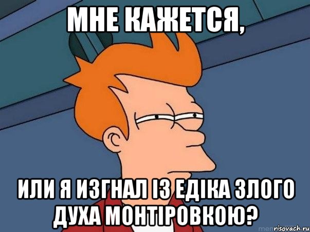 мне кажется, или я изгнал із едіка злого духа монтіровкою?, Мем  Фрай (мне кажется или)