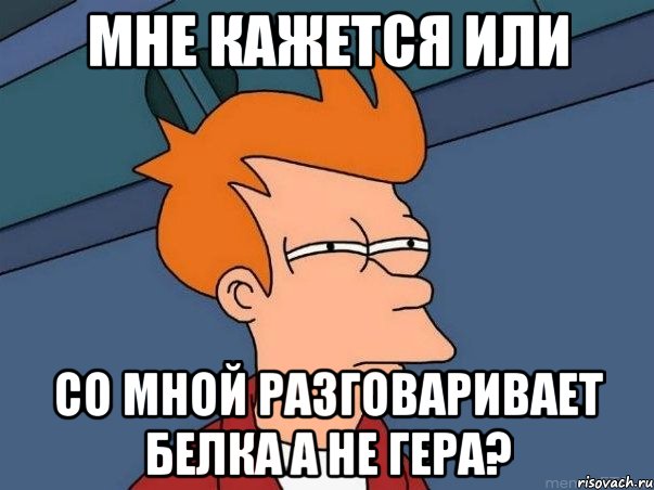 мне кажется или со мной разговаривает белка а не гера?, Мем  Фрай (мне кажется или)