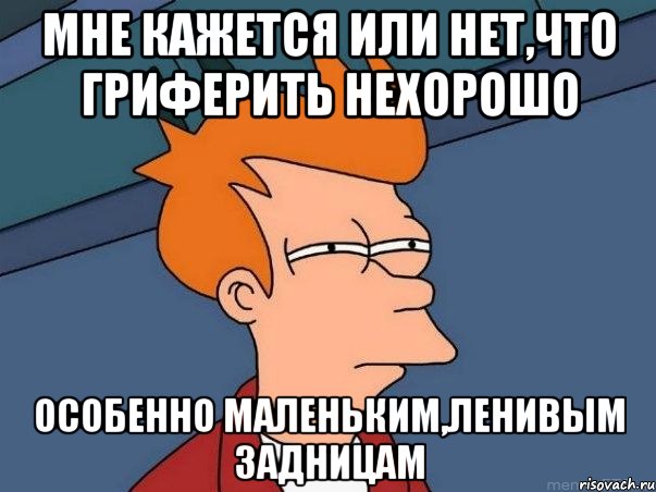 мне кажется или нет,что гриферить нехорошо особенно маленьким,ленивым задницам, Мем  Фрай (мне кажется или)