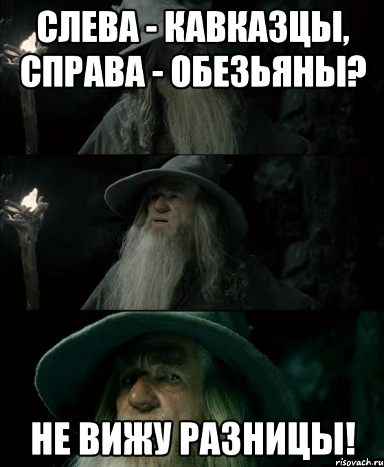 слева - кавказцы, справа - обезьяны? не вижу разницы!, Комикс Гендальф заблудился