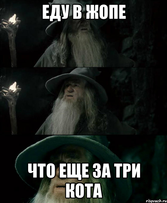 еду в жопе что еще за три кота, Комикс Гендальф заблудился