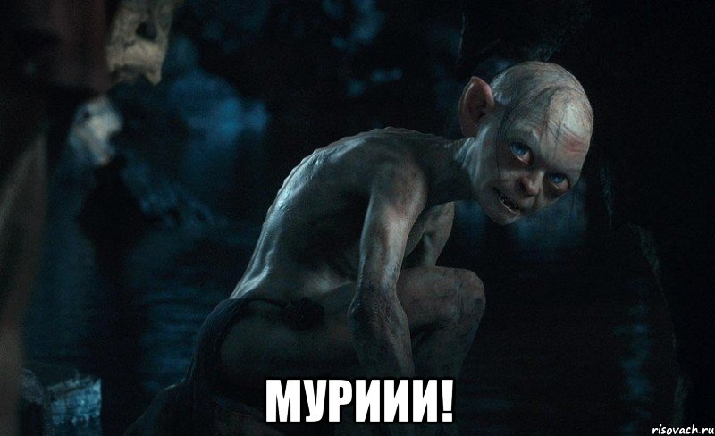  муриии!, Мем голлум
