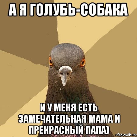 а я голубь-собака и у меня есть замечательная мама и прекрасный папа), Мем голубь