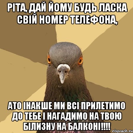 ріта, дай йому будь ласка свій номер телефона, ато інакше ми всі прилетимо до тебе і нагадимо на твою білизну на балконі!!!, Мем голубь