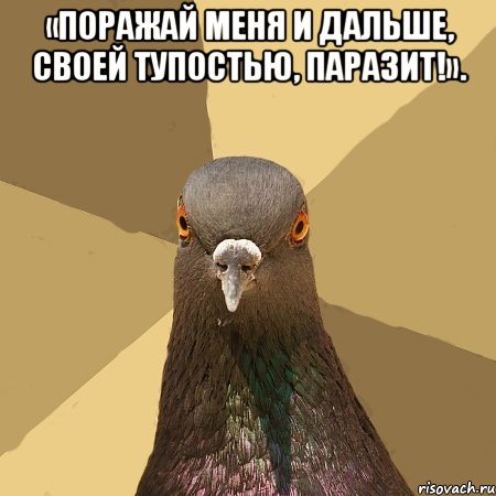 «поражай меня и дальше, своей тупостью, паразит!». , Мем голубь