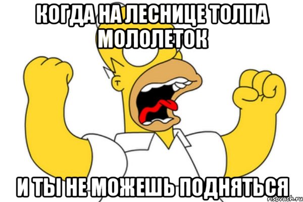 когда на леснице толпа мололеток и ты не можешь подняться, Мем Разъяренный Гомер