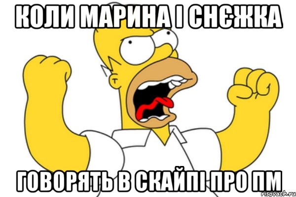 коли марина і снєжка говорять в скайпі про пм, Мем Разъяренный Гомер