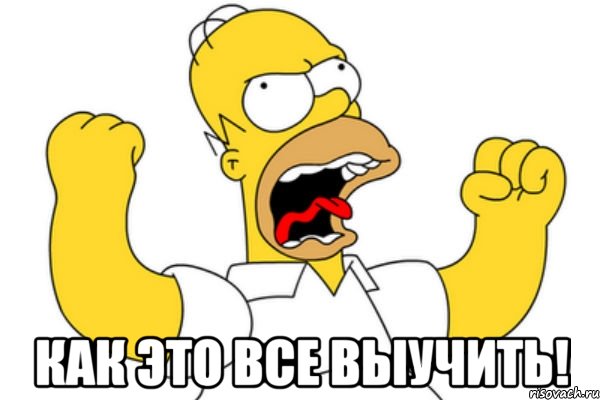  как это все выучить!