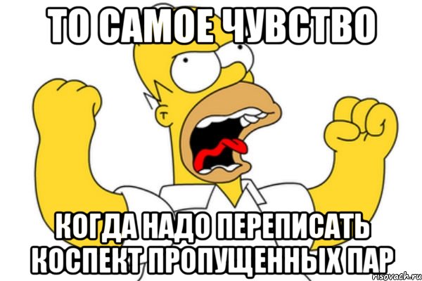 то самое чувство когда надо переписать коспект пропущенных пар, Мем Разъяренный Гомер